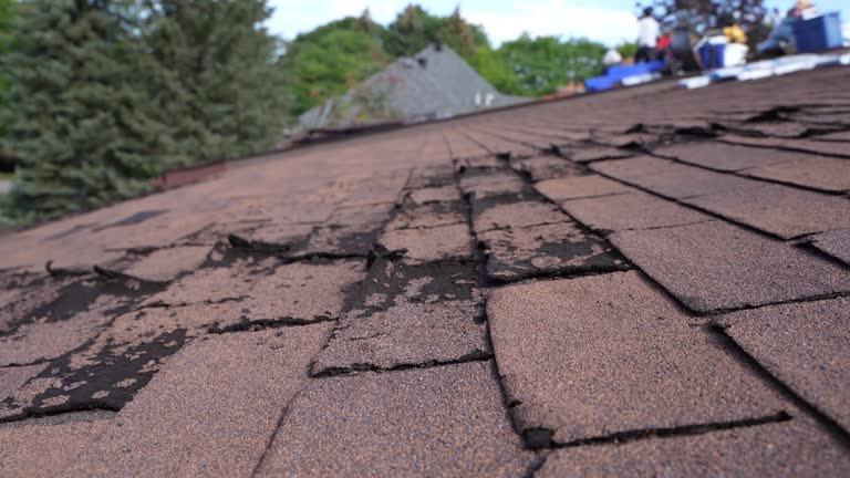 Best Metal Roofing Installation  in Rden City, GA