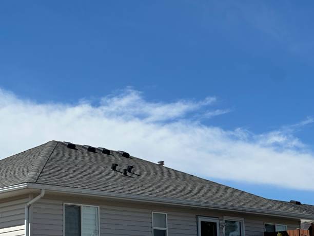 Best Sheet Metal Roofing  in Rden City, GA
